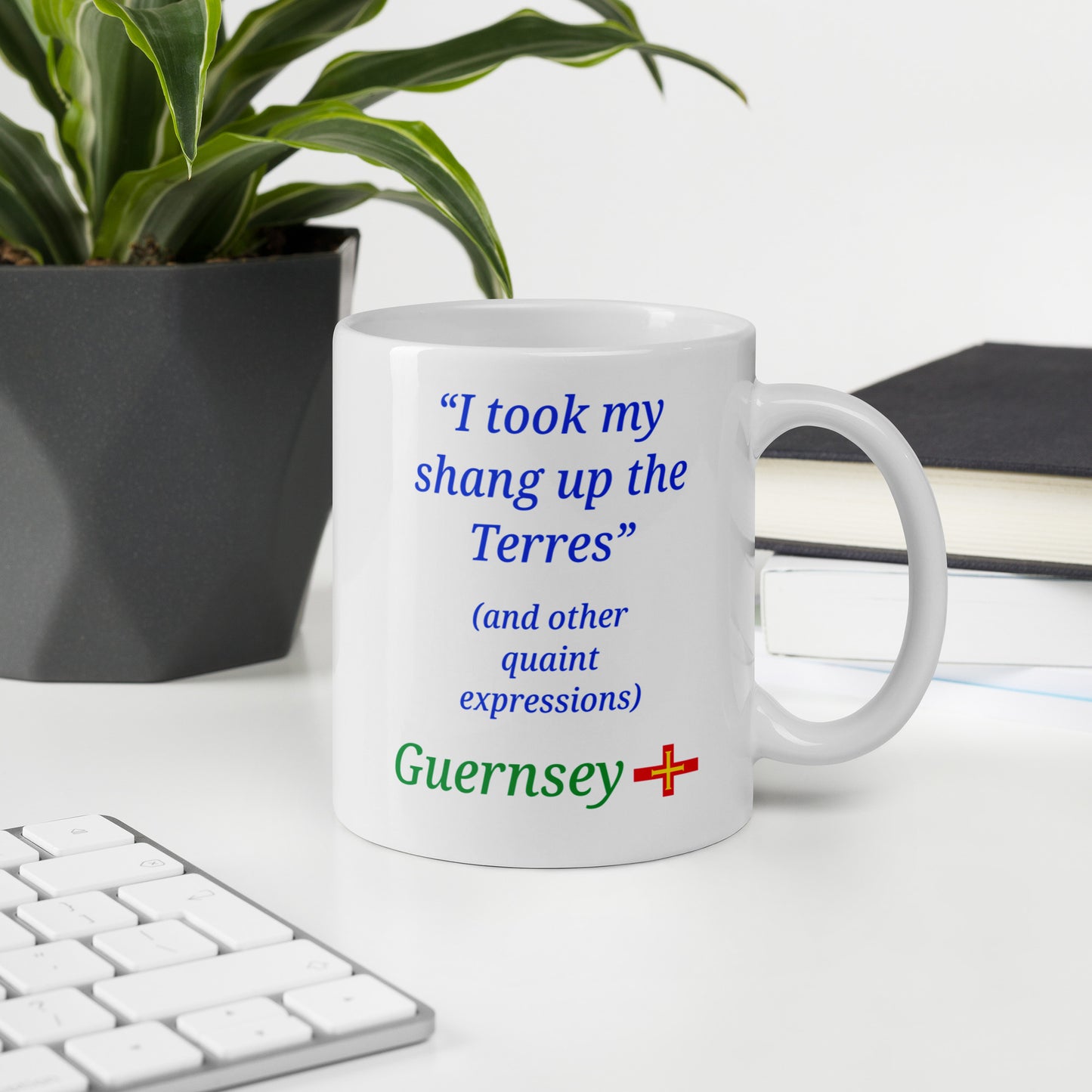 White glossy mug (I took my shang up the Terres - and other quaint expressions)