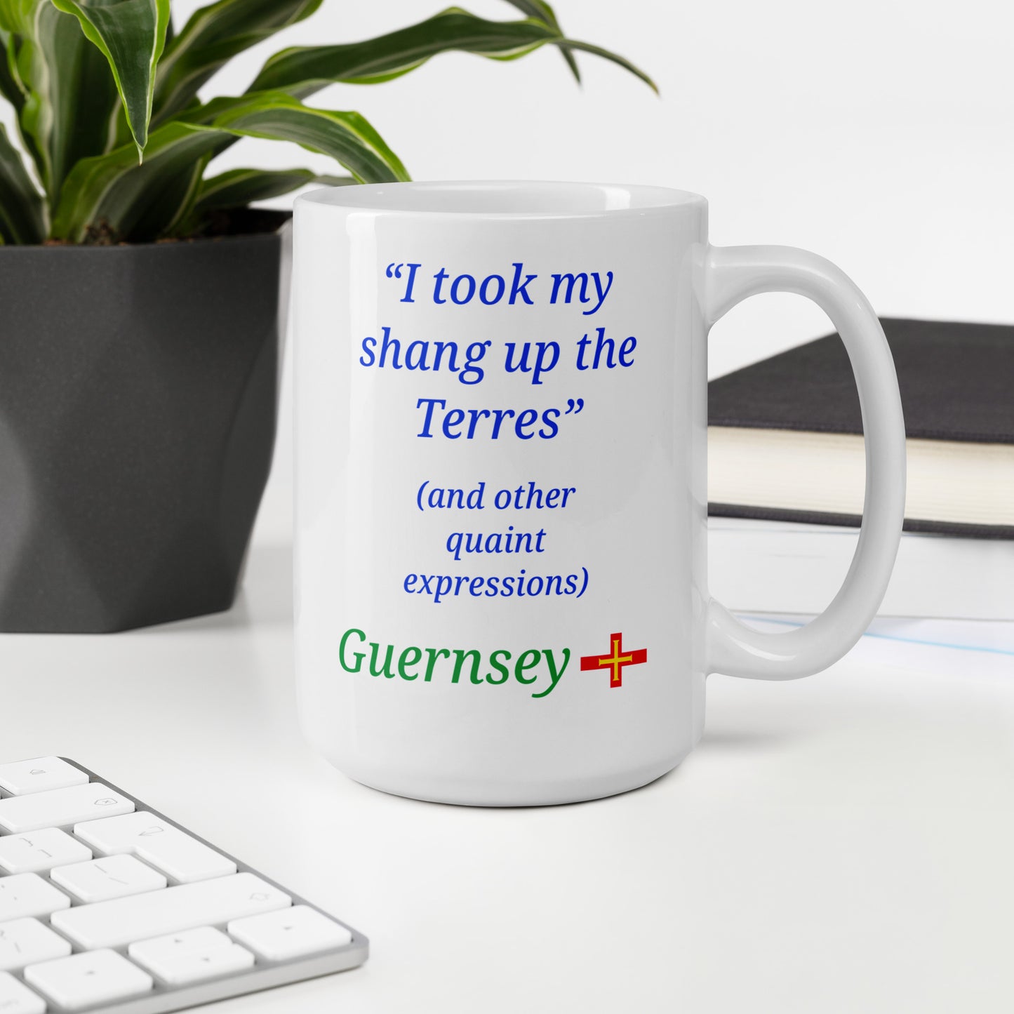 White glossy mug (I took my shang up the Terres - and other quaint expressions)